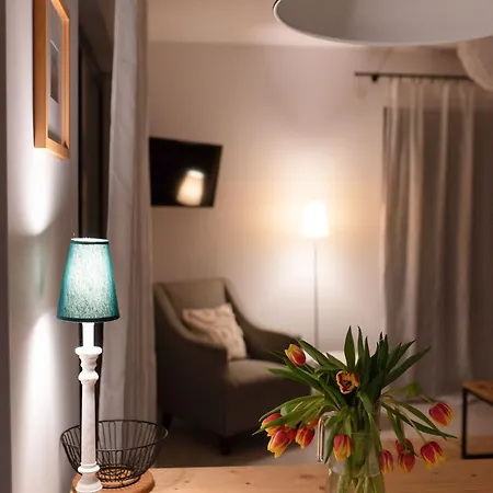 Czarny Bocian Białogóra