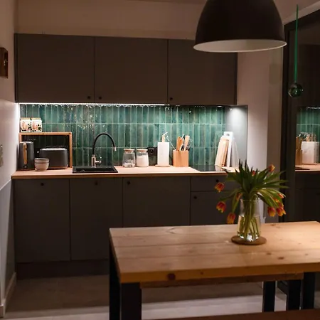 Czarny Bocian 펜션 *