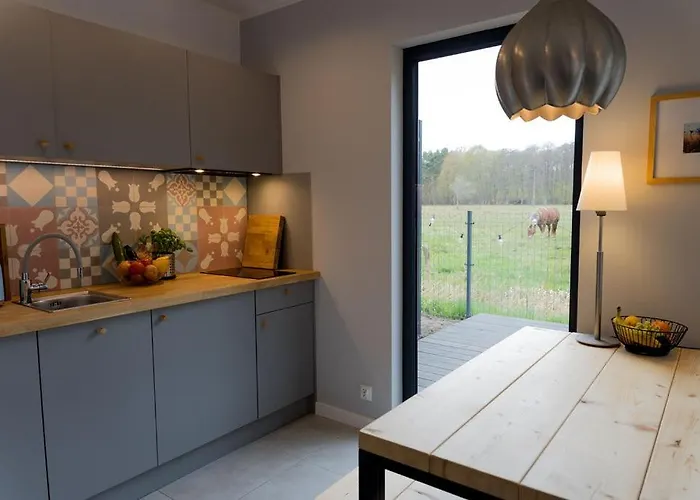 Czarny Bocian Semesterbostad Białogóra