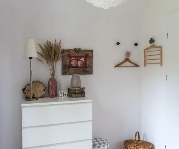 Czarny Bocian Białogóra