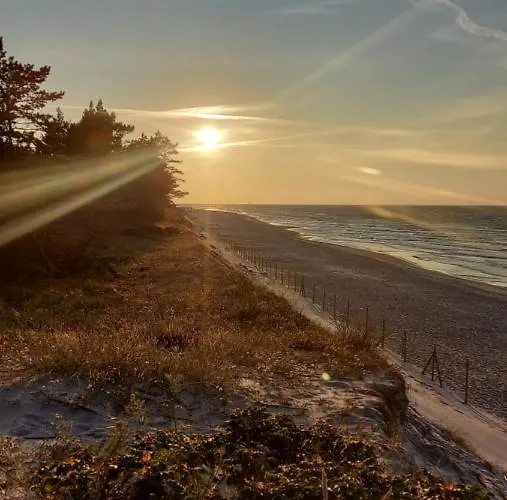 Czarny Bocian Białogóra