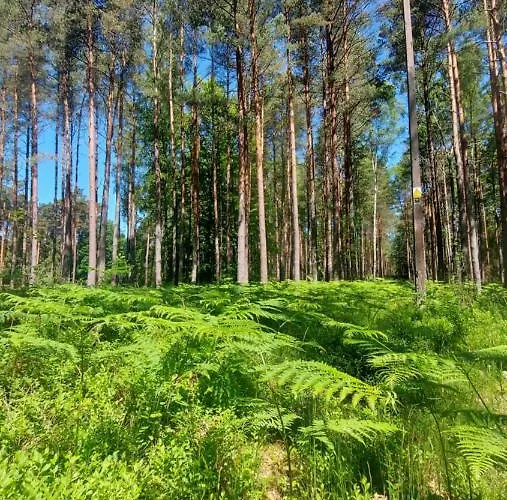 Czarny Bocian Semesterbostad