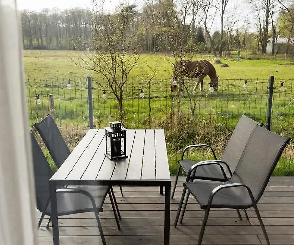 Czarny Bocian Białogóra