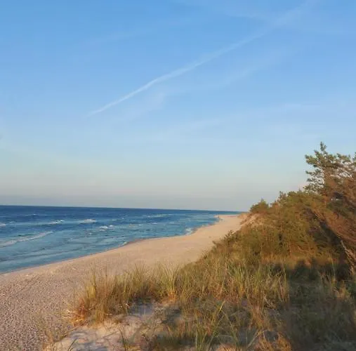 Czarny Bocian Semesterbostad Białogóra