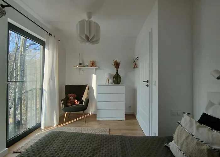 Czarny Bocian Białogóra