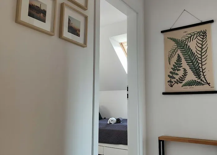 Czarny Bocian Semesterbostad Białogóra