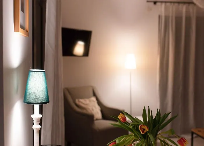 Czarny Bocian Białogóra